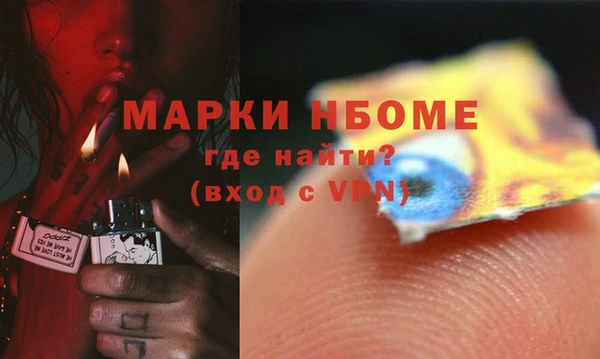 прущие грибы Гусь-Хрустальный