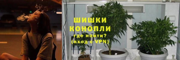 бошки Горняк