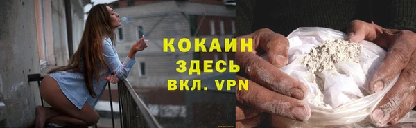 бошки Горняк