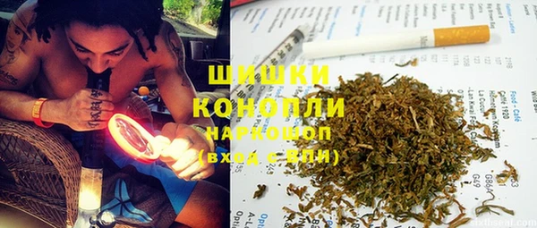 бошки Горняк