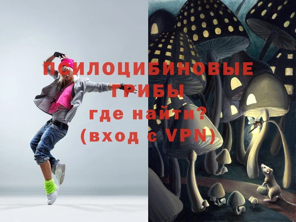 2c-b Гусиноозёрск