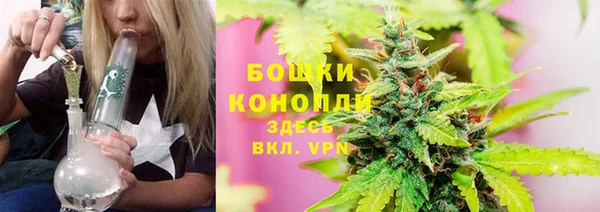 СК Горно-Алтайск